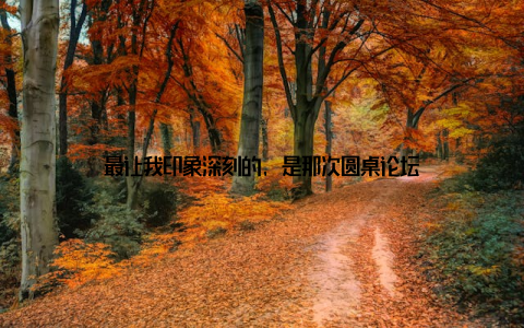 最让我印象深刻的, 是那次圆桌论坛