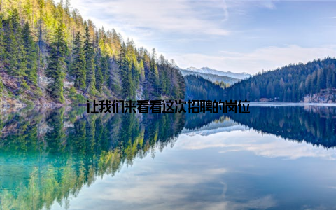 让我们来看看这次招聘的岗位