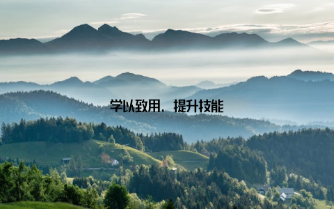 学以致用, 提升技能
