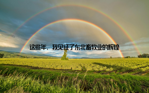 这些年, 我见证了东北畜牧业的辉煌