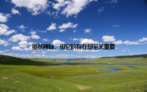 虽然神秘, 但它的存在却至关重要