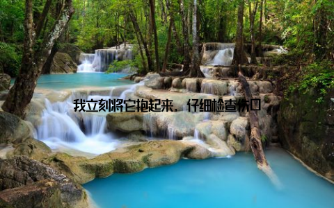 我立刻将它抱起来, 仔细检查伤口