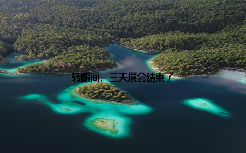 转眼间, 三天展会结束了