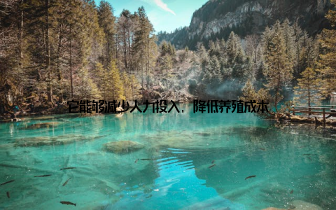 它能够减少人力投入, 降低养殖成本