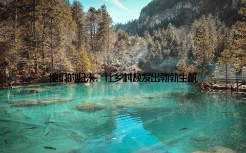 他们的归来, 让乡村焕发出勃勃生机