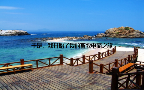 于是, 我开始了我的畜牧电商之旅
