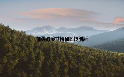 加强政策扶持和科技创新