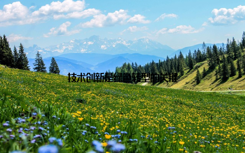 技术创新是绿色转型的关键