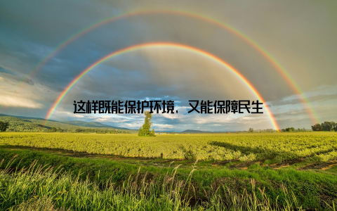 这样既能保护环境, 又能保障民生