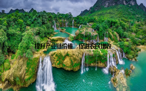 提升产业链价值, 促进农民增收