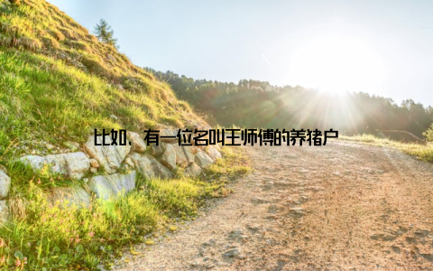 比如, 有一位名叫王师傅的养猪户