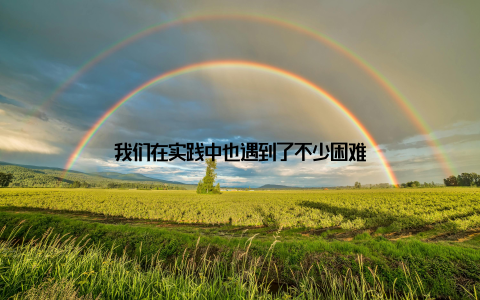 我们在实践中也遇到了不少困难